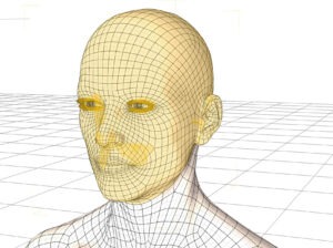 Wireframe of 3D man
