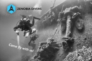 SCUBA diver at the anchor of the Zenobia Wreck